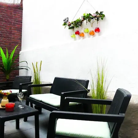 Cosy Met Tuin In Centrum Gratis Parking Free Parking! *