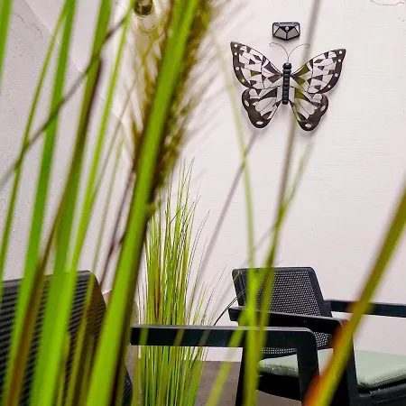 Cosy Met Tuin In Centrum Gratis Parking Free Parking! Antwerp